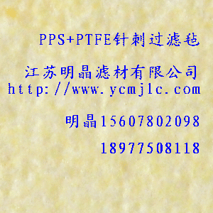 PPS+PTFEᘴ^V