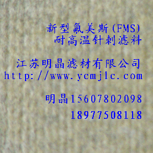 ͷ˹FMS)͸ߜᘴ̞V
