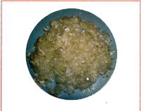 wS