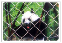 W(wng) ֧o(h)W(wng) FW(wng) o(h)W(wng) j(lu)W(wng)