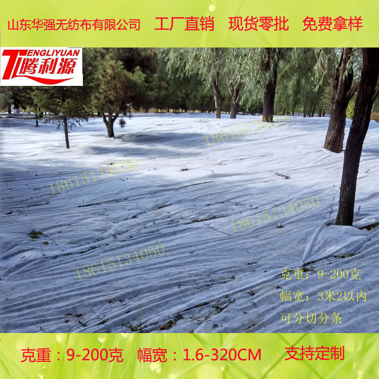 紡粘無紡布不織布